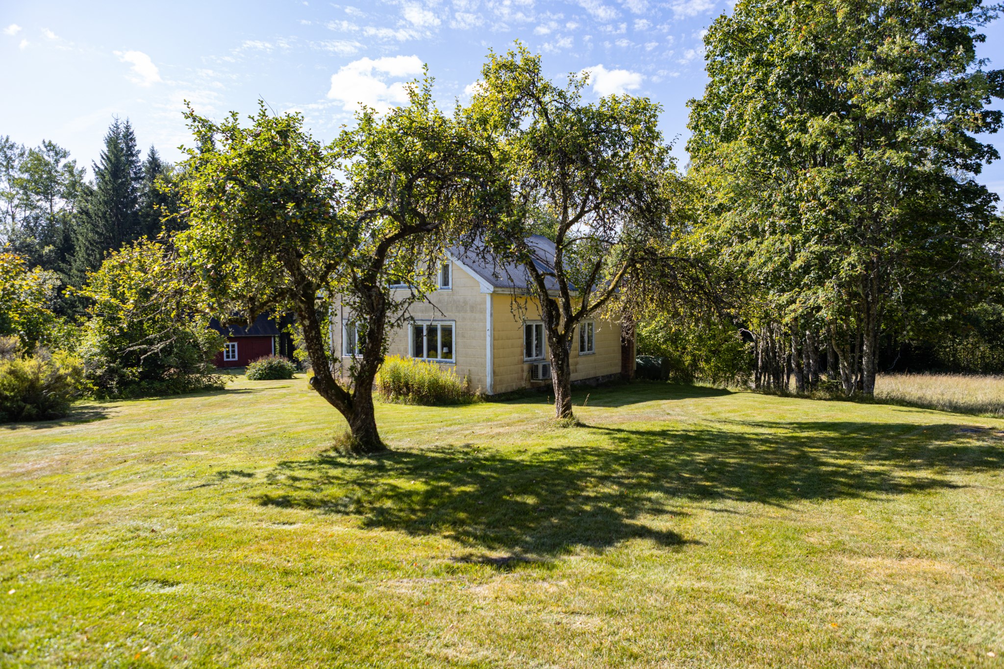 Solum Ryggstödet 1 – photo 6